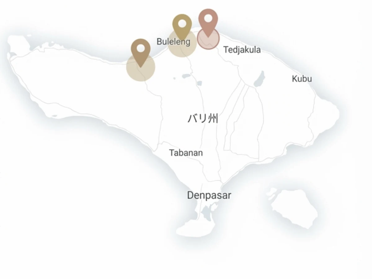 バリ島の地図。北部ブレレン県に THE HORIZONE、西部に West Bali Oceanfront が位置する